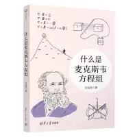 [N]什么是麦克斯韦方程组-9787302639251