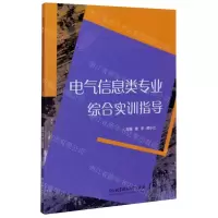 [N]电气信息类专业综合实训指导-9787568289771