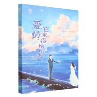 [N]爱情它来得刚刚好-9787536097216