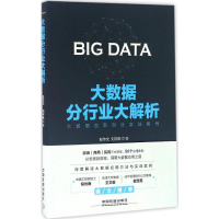 [M]大数据分行业大解析-9787113222499