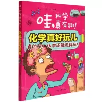 [N]化学真好玩儿/哇科学真有趣-9787518343768