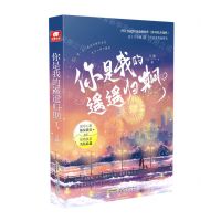 [N]你是我的遥遥归期(1)-9787539674230