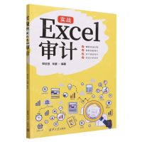 [N]实战Excel审计-9787302637561
