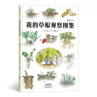 [N]我的草根观察图鉴(精)-9787571105716