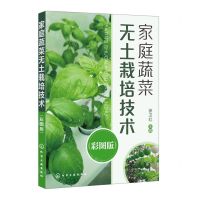 [N]家庭蔬菜无土栽培技术(彩图版)-9787122412317