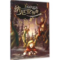 [M]银椅-9787534691263