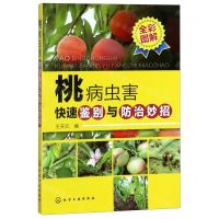 [N]桃病虫害快速鉴别与防治妙招-9787122351258