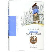 [N]像芦花一样奔跑/童年中国书系-9787559526588