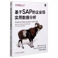 [N]基于SAP的企业级实用数据分析-9787111674030