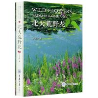 [N]北大荒野花-9787568923484