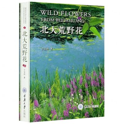 [N]北大荒野花-9787568923484