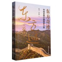 [N]东方奇迹(中国全面小康圆梦之路)-9787572234026