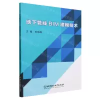 [N]地下管线BIM建模技术-9787576325058