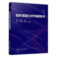 [N]低阶煤直立炉热解技术-9787122435019