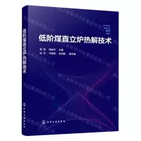 [N]低阶煤直立炉热解技术-9787122435019