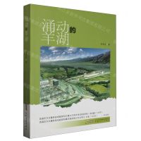 [N]涌动的羊湖-9787539675961