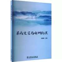 暴雨灾害与电网防汛