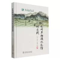 [N]配电网单相接地故障处理实践(精)-9787519870836