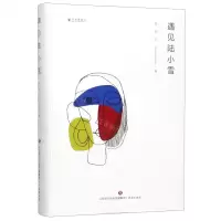 [N]遇见陆小雪/文学新势力-9787548839637