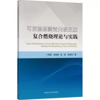 可控温核聚变光核反应复合燃烧理论与实践