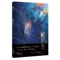 [N]错惜-9787549279357