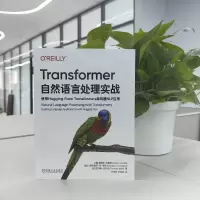 TRANSFORMER自然语言处理实战:使用HUGGING FACE TRANSFORMERS库构建NLP应用