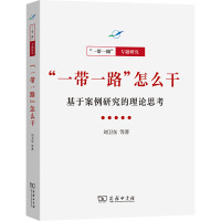 “一带一路”怎么干:基于案例研究的理论思考