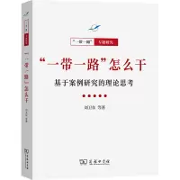 “一带一路”怎么干:基于案例研究的理论思考