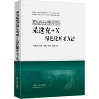 深部煤炭资源采选充+X绿色化开采方法