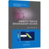 动静载作用下吸附瓦斯煤体损伤渗流规律与致灾机理