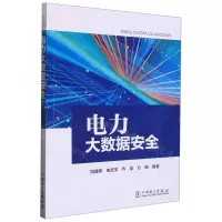 [N]电力大数据安全-9787519869977