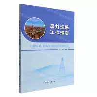 [N]录井现场工作指南-9787518353156