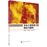 [N]多孔介质燃烧理论与模拟-9787030734839