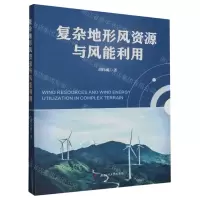 [N]复杂地形风资源与风能利用-9787564393717