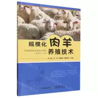 [N]规模化肉羊养殖技术-9787109311084