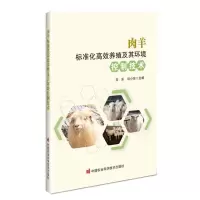 [N]肉羊标准化高效养殖及其环境控制技术-9787511665898