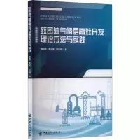 致密油气储层高效开发理论方法与实践