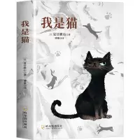 我是猫夏目漱石猫桑一出口句句扎心戳破人间荒唐事