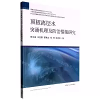 [N]顶板离层水突涌机理及防治措施研究-9787564652722
