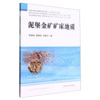 [N]泥堡金矿矿床地质-9787564653521