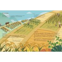 理清时间线文史特简单(全4册)