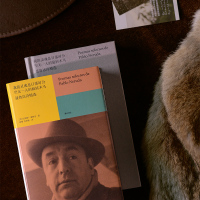 我的灵魂是日落时分空无一人的旋转木马:聂鲁达诗精选/[智利]巴勃罗·聂鲁达