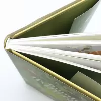 小鹿斑比
