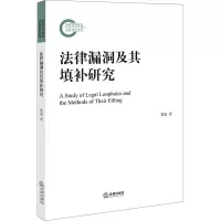 法律漏洞及其填补研究