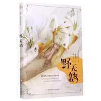 [N]野天鹅/安徒生童话全集/任溶溶经典译丛-9787559718952