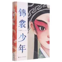 [N]锦裳少年-9787544871488