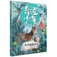 [N]黑暗森林的光/奇迹少年-9787545566109