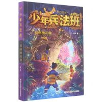 [N]少年兵法班(1探秘桃花源)-9787559728821