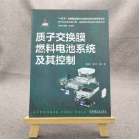 质子交换膜燃料电池系统及其控制