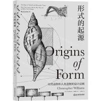 [N]形式的起源-9787572213038